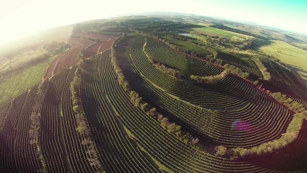 Fazenda Brasil